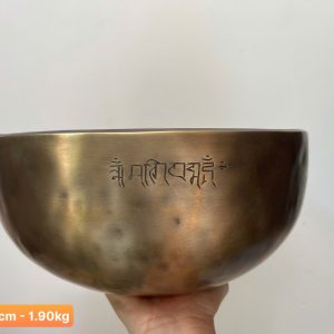 D - 25.2cm - 1.90kg